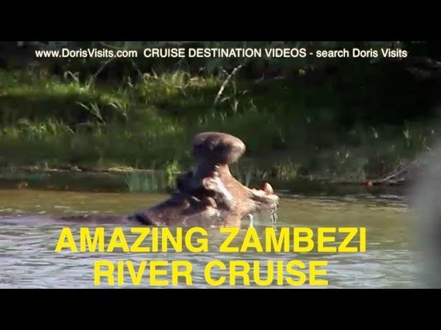 Zambezi African Queen like Sunset River Cruise one of the best ever river trips