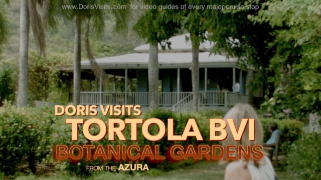 Tortola BVI – Walk to the J R O’Neal Botanical Gardens