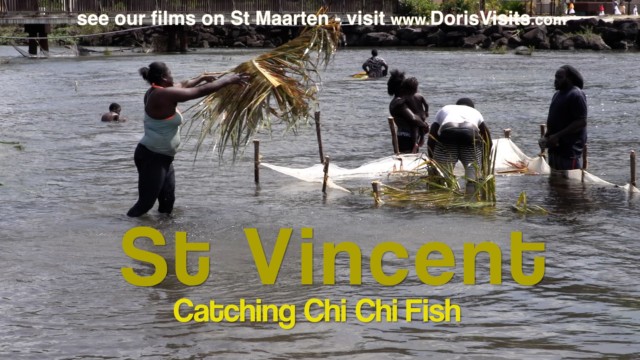 St. Vincent, East Caribbean – amazing fishing for Chi Chi  (Tri Tri)