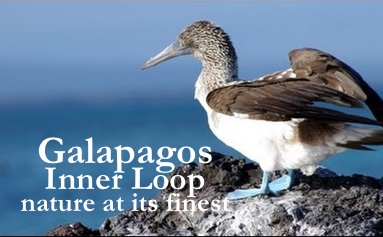 Galapagos, the Inner Loop Itinerary Route
