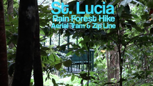 St Lucia, Rain Forest Hike – ship organised tour