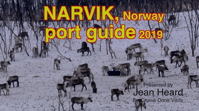 Narvik Guide 2019 - cruise stop & ski resort