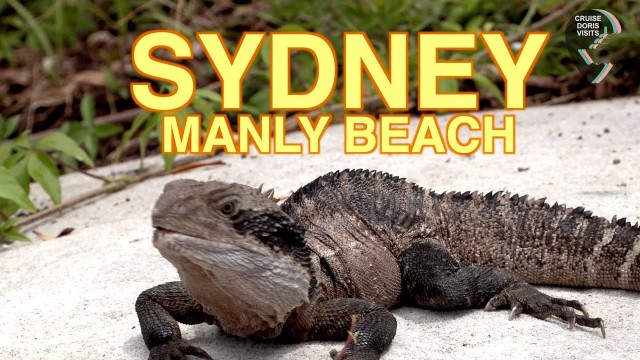 SYDNEY MANLY BEACH GUIDE and list of beaches