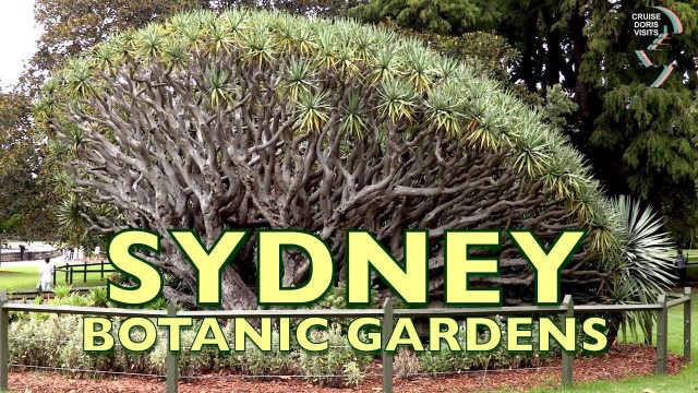 Sydney Botanical gardens are right opposite the tender dock and Opera House