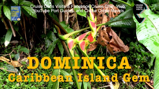 Dominica – island tour, panoramic view of Morne Bruce