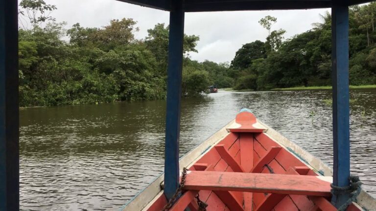 Boca da Valeria, Amazon, Brazil