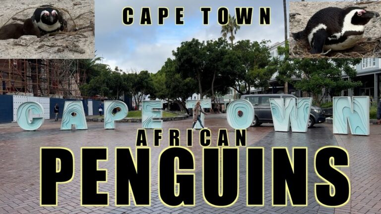 Cape Town, South Africa