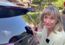 Comedy Kia Niro Reversing Camera Repair – and Camera Cleaner Upgrade that saves enough for a two week Caribbean cruise